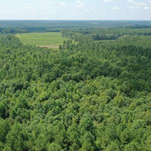 Photo #19 of SOLD property in Off Adcock Road, Enfield, NC 58.0 acres
