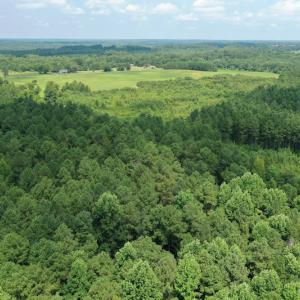 Photo #20 of SOLD property in Off Adcock Road, Enfield, NC 58.0 acres