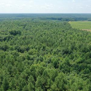Photo #23 of SOLD property in Off Adcock Road, Enfield, NC 58.0 acres