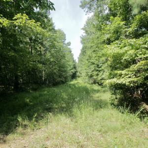 Photo #33 of SOLD property in Off Adcock Road, Enfield, NC 58.0 acres