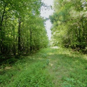 Photo #38 of SOLD property in Off Adcock Road, Enfield, NC 58.0 acres