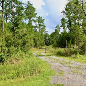Photo #22 of SOLD property in 545 Whealton Point Rd., Aurora, NC 4.9 acres