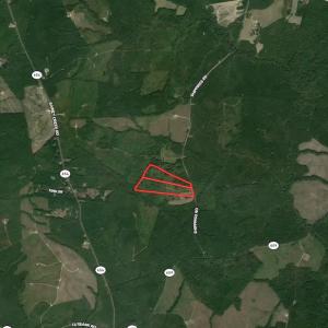 Photo #39 of SOLD property in Off Shippings Road, McKenney, VA 47.5 acres