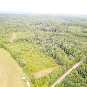 Photo #2 of SOLD property in Off Shippings Road, McKenney, VA 47.5 acres