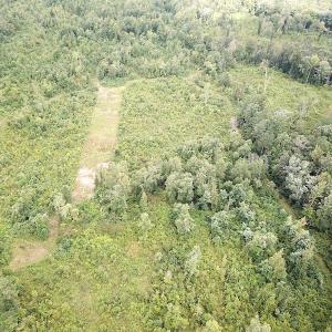 Photo #3 of SOLD property in Off Shippings Road, McKenney, VA 47.5 acres