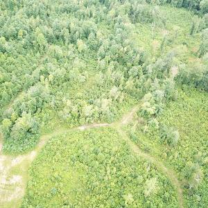 Photo #4 of SOLD property in Off Shippings Road, McKenney, VA 47.5 acres