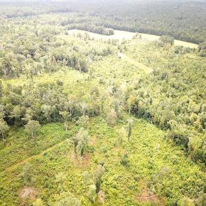 Photo #9 of SOLD property in Off Shippings Road, McKenney, VA 47.5 acres