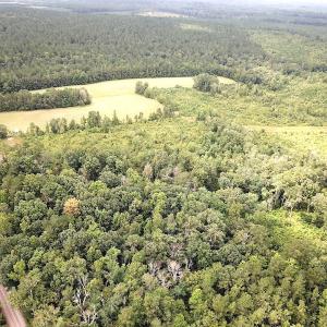 Photo #11 of SOLD property in Off Shippings Road, McKenney, VA 47.5 acres