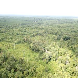 Photo #12 of SOLD property in Off Shippings Road, McKenney, VA 47.5 acres