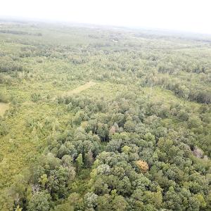 Photo #13 of SOLD property in Off Shippings Road, McKenney, VA 47.5 acres