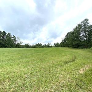 Photo #16 of SOLD property in Off Shippings Road, McKenney, VA 47.5 acres