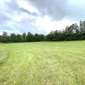 Photo #17 of SOLD property in Off Shippings Road, McKenney, VA 47.5 acres