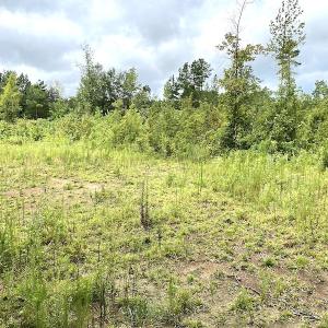 Photo #18 of SOLD property in Off Shippings Road, McKenney, VA 47.5 acres