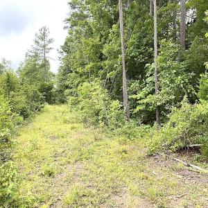 Photo #19 of SOLD property in Off Shippings Road, McKenney, VA 47.5 acres