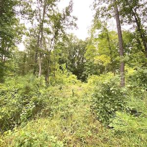 Photo #22 of SOLD property in Off Shippings Road, McKenney, VA 47.5 acres