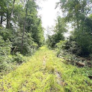 Photo #23 of SOLD property in Off Shippings Road, McKenney, VA 47.5 acres