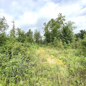Photo #27 of SOLD property in Off Shippings Road, McKenney, VA 47.5 acres