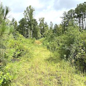 Photo #29 of SOLD property in Off Shippings Road, McKenney, VA 47.5 acres