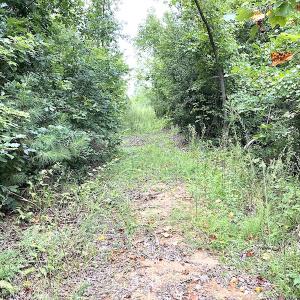 Photo #35 of SOLD property in Off Shippings Road, McKenney, VA 47.5 acres