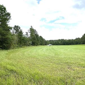 Photo #37 of SOLD property in Off Shippings Road, McKenney, VA 47.5 acres
