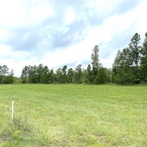 Photo #38 of SOLD property in Off Shippings Road, McKenney, VA 47.5 acres
