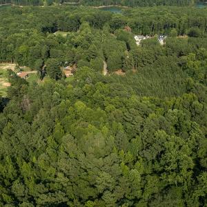 Photo #29 of SOLD property in County Line Road, Manson, NC 6.6 acres