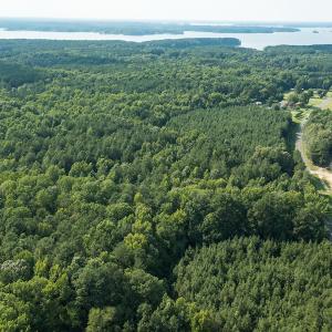 Photo #38 of SOLD property in County Line Road, Manson, NC 6.6 acres