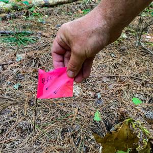 Photo #16 of SOLD property in County Line Road, Manson, NC 6.6 acres