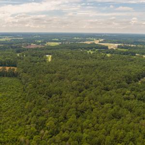 Photo #10 of SOLD property in Off Cecil-Odie Road, Clinton, NC 11.0 acres