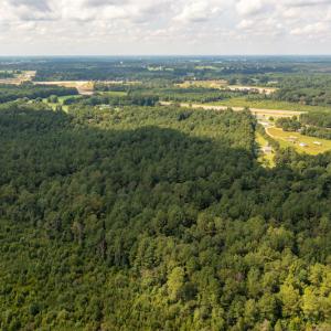 Photo #11 of SOLD property in Off Cecil-Odie Road, Clinton, NC 11.0 acres