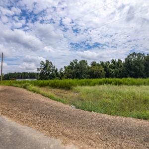 Photo #14 of SOLD property in Off Cecil-Odie Road, Clinton, NC 11.0 acres