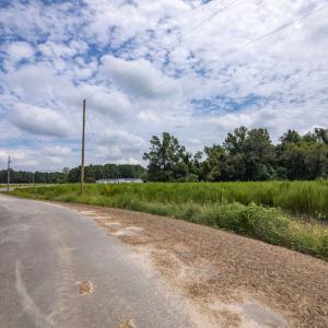 Photo #18 of SOLD property in Off Cecil-Odie Road, Clinton, NC 11.0 acres