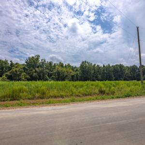 Photo #21 of SOLD property in Off Cecil-Odie Road, Clinton, NC 11.0 acres