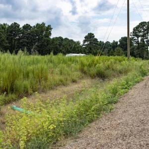 Photo #22 of SOLD property in Off Cecil-Odie Road, Clinton, NC 11.0 acres