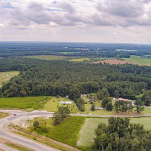 Photo #3 of SOLD property in Off Cecil-Odie Road, Clinton, NC 11.0 acres