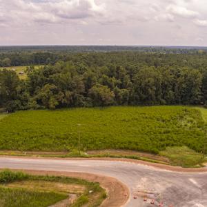 Photo #5 of SOLD property in Off Cecil-Odie Road, Clinton, NC 11.0 acres
