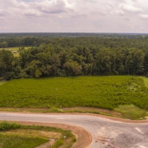 Photo #5 of SOLD property in Off Cecil-Odie Road, Clinton, NC 11.0 acres
