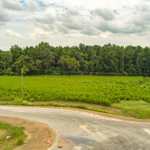 Photo #6 of SOLD property in Off Cecil-Odie Road, Clinton, NC 11.0 acres