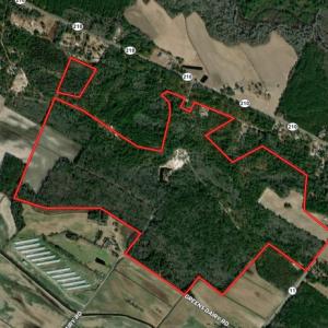 Photo #1 of SOLD property in 27500 NC 210 Hwy E, Currie, NC 330.0 acres