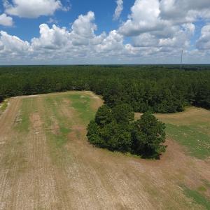 Photo #11 of SOLD property in 27500 NC 210 Hwy E, Currie, NC 330.0 acres