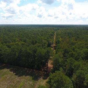 Photo #12 of SOLD property in 27500 NC 210 Hwy E, Currie, NC 330.0 acres