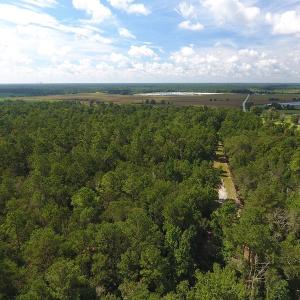 Photo #13 of SOLD property in 27500 NC 210 Hwy E, Currie, NC 330.0 acres