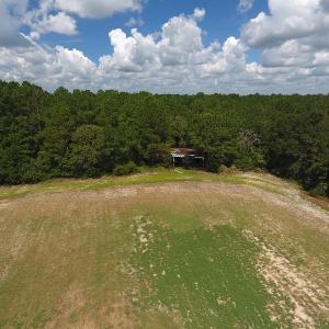 Photo #15 of SOLD property in 27500 NC 210 Hwy E, Currie, NC 330.0 acres