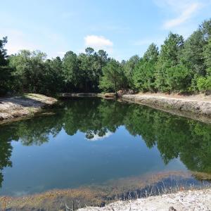 Photo #19 of SOLD property in 27500 NC 210 Hwy E, Currie, NC 330.0 acres
