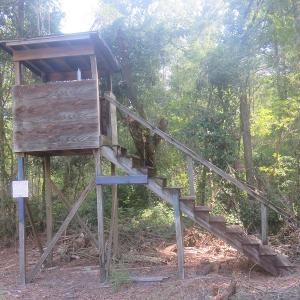 Photo #20 of SOLD property in 27500 NC 210 Hwy E, Currie, NC 330.0 acres