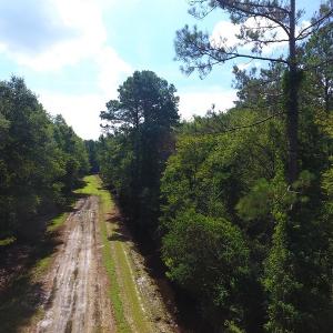 Photo #3 of SOLD property in 27500 NC 210 Hwy E, Currie, NC 330.0 acres
