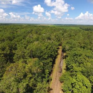 Photo #5 of SOLD property in 27500 NC 210 Hwy E, Currie, NC 330.0 acres