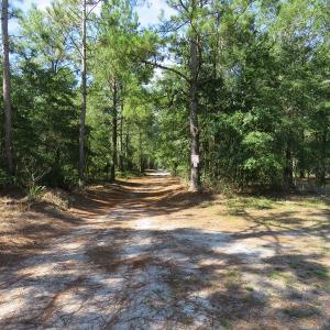Photo #49 of SOLD property in 27500 NC 210 Hwy E, Currie, NC 330.0 acres