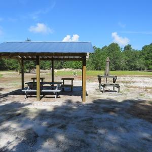 Photo #55 of SOLD property in 27500 NC 210 Hwy E, Currie, NC 330.0 acres
