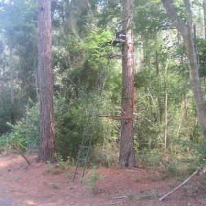 Photo #59 of SOLD property in 27500 NC 210 Hwy E, Currie, NC 330.0 acres